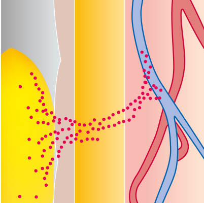 Darstellung Wirkung bei rektaler Medikamentenzufuhr 