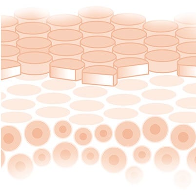 Darstellung der Hautschichten bei gesunder Haut