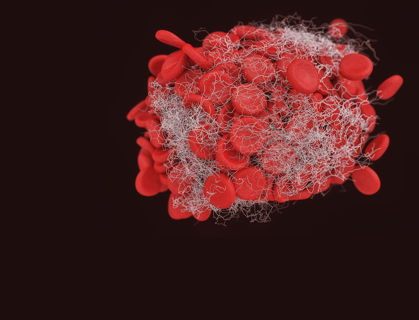 Prozesse der Wundheilung