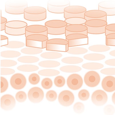 Darstellung der Hautschichten bei zu trockener Haut